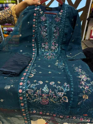 Premium Organza Embroidered Party Dress